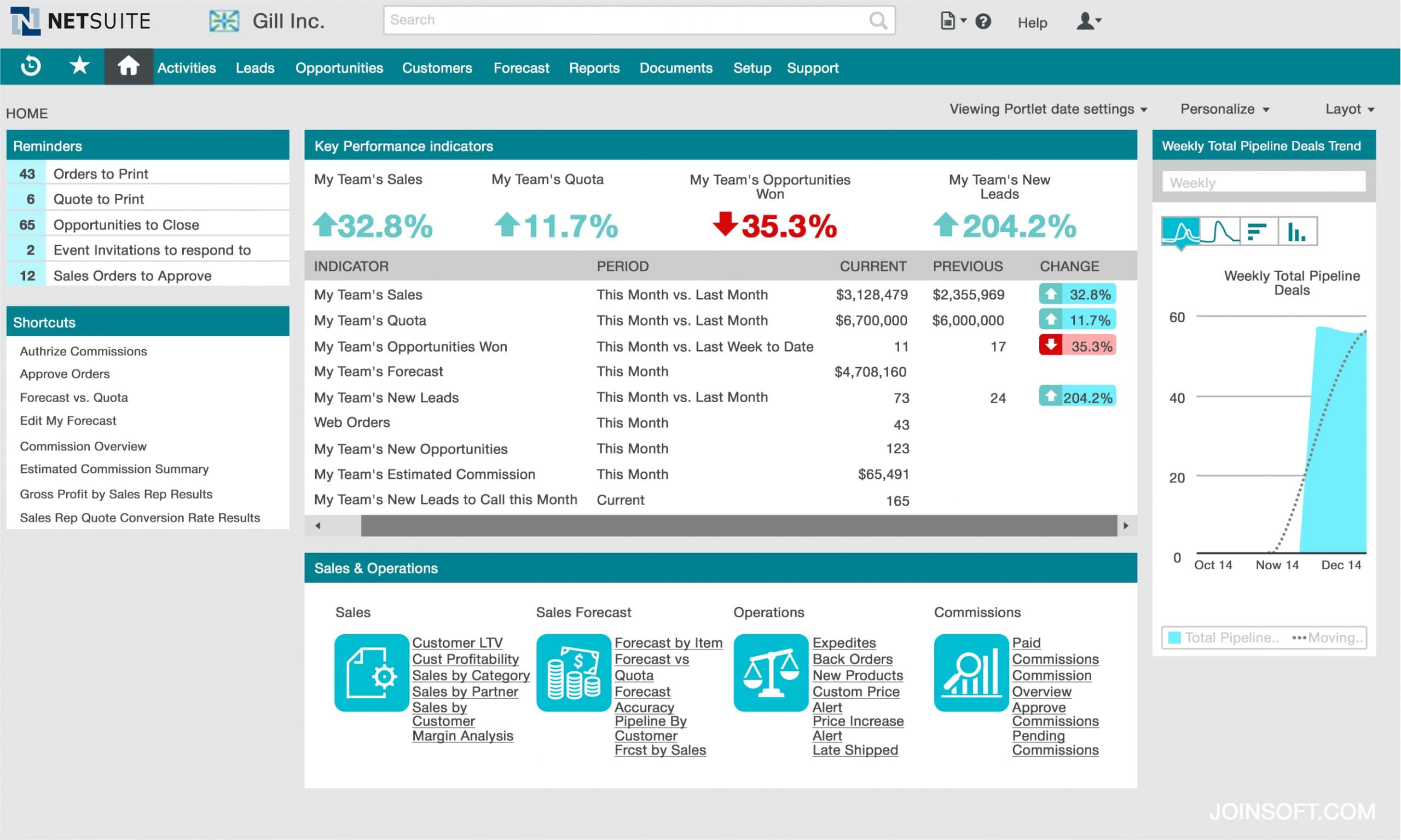 In-depth analysis with NetSuite CRM